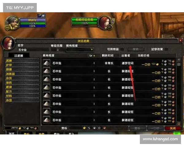 魔兽世界单机版：探寻GM等级调整的奥秘